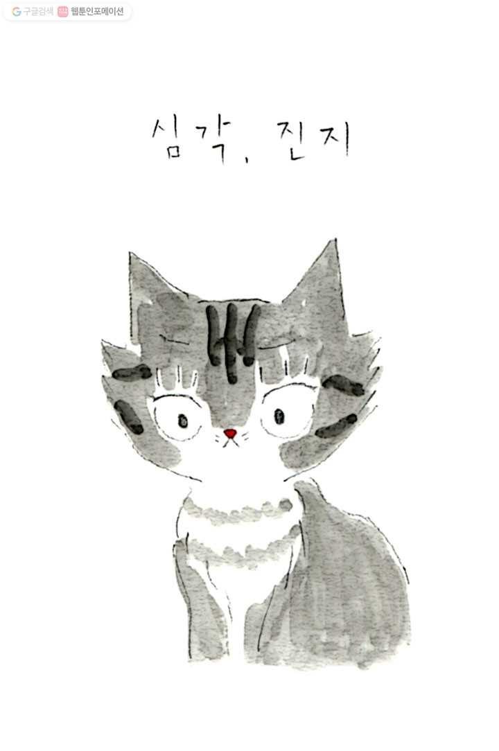 16149510900091.jpg